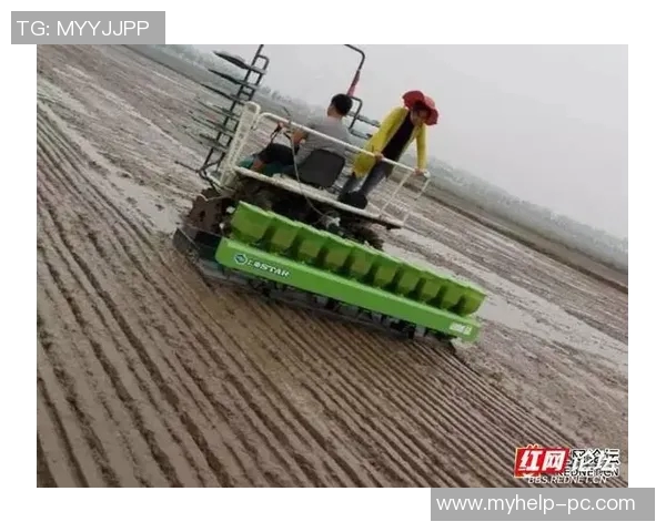 大米种植技术的创新与发展趋势：提升产量与可持续性研究