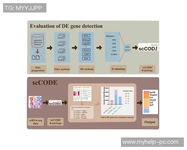 南京篮球队团队协作表现的数据分析与提升策略探讨