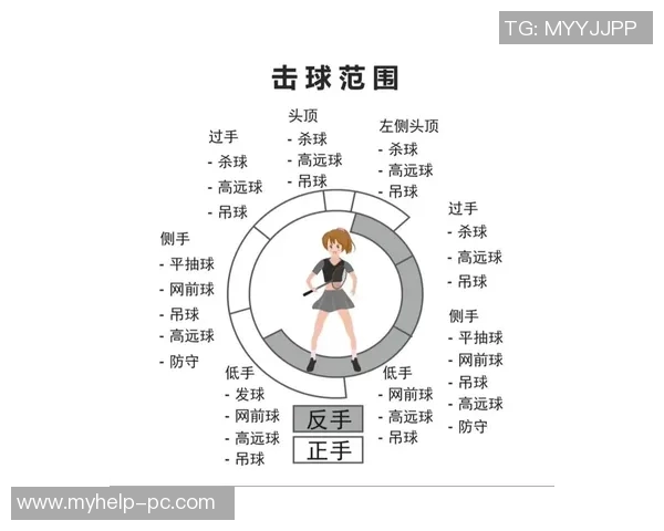 羽毛球战术解析与上海羽毛球队运营体系的深度剖析与实践探索