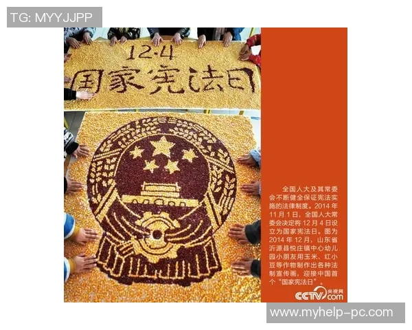 选举制度改革与民主发展：探索新时代政治参与的多元化路径